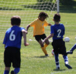 IMG_8164_1 IMG_8164_1