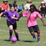 IMG_8084_1 IMG_8084_1